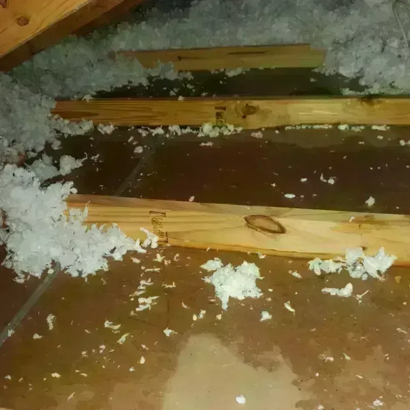 Attic Water Damage in California City, CA