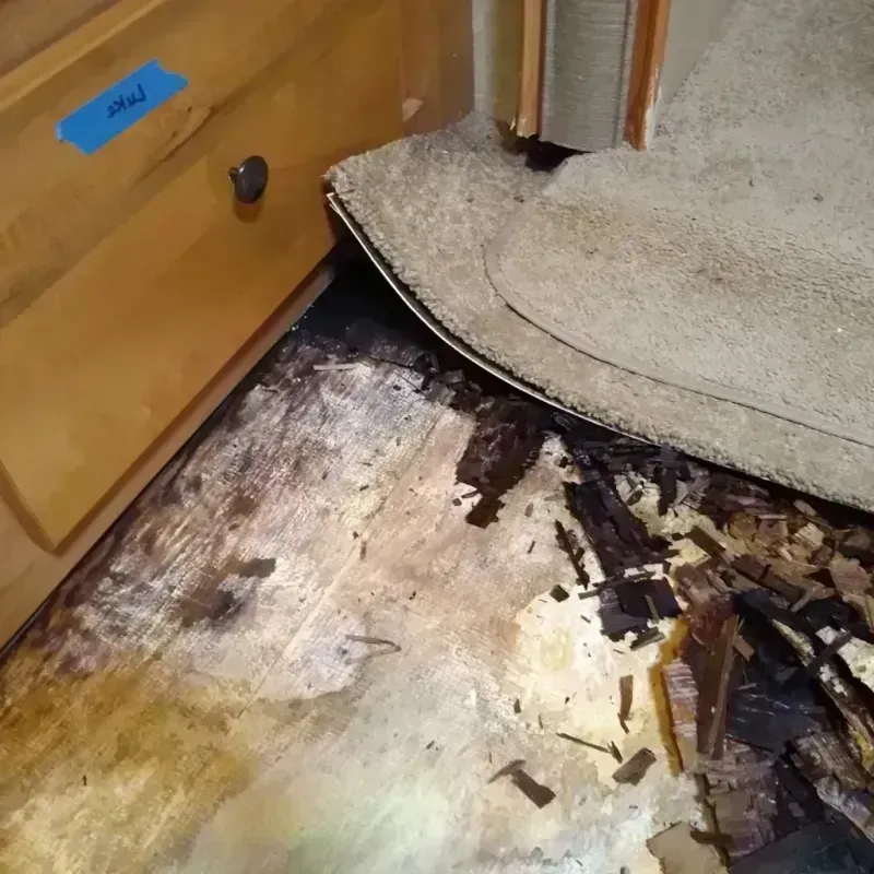 Wood Floor Water Damage in California City, CA